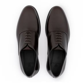 Vicenza Oxford Shoes | Brown